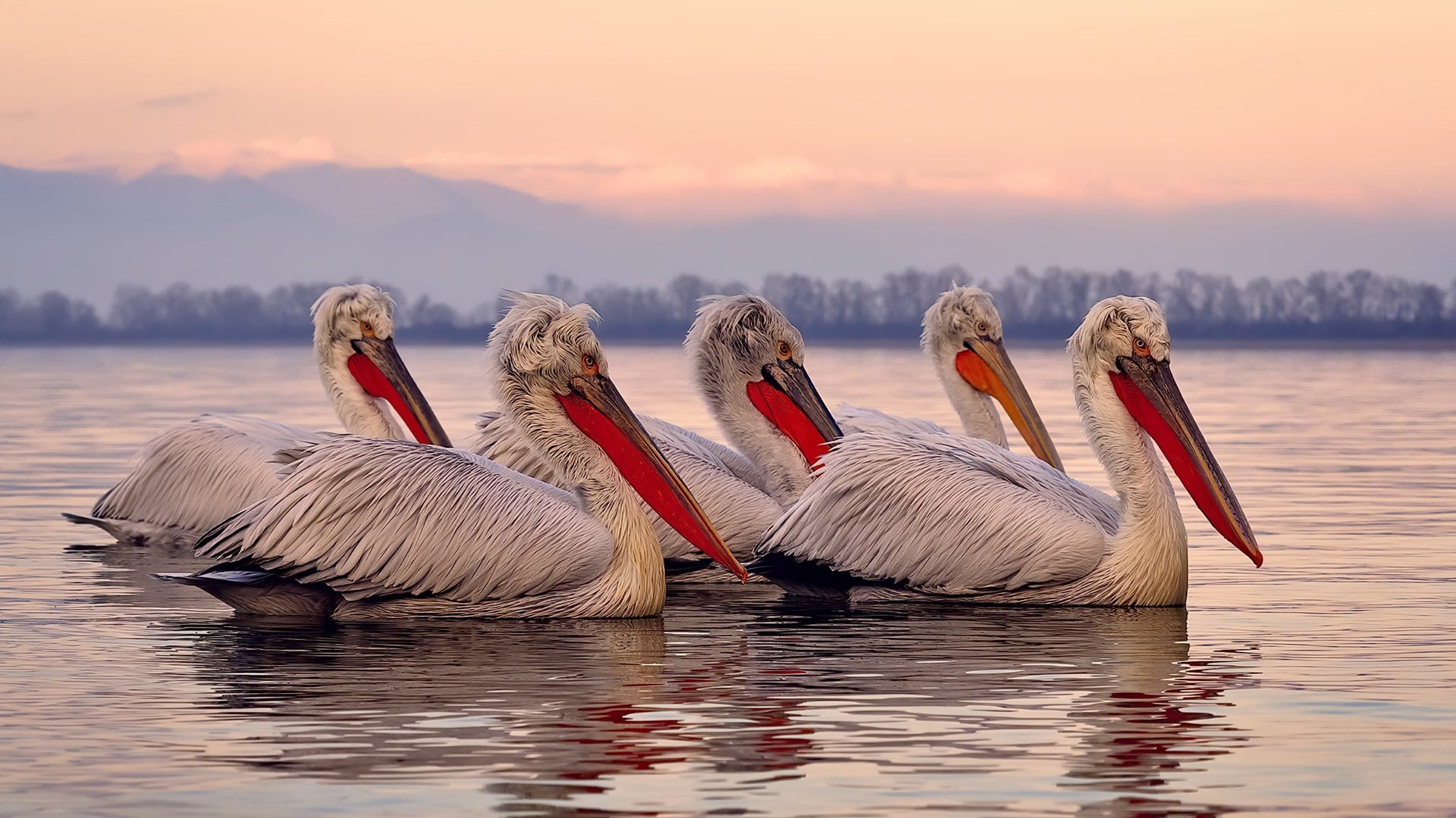 中国女篮强调团队协作与配合,中国女篮和谁一组