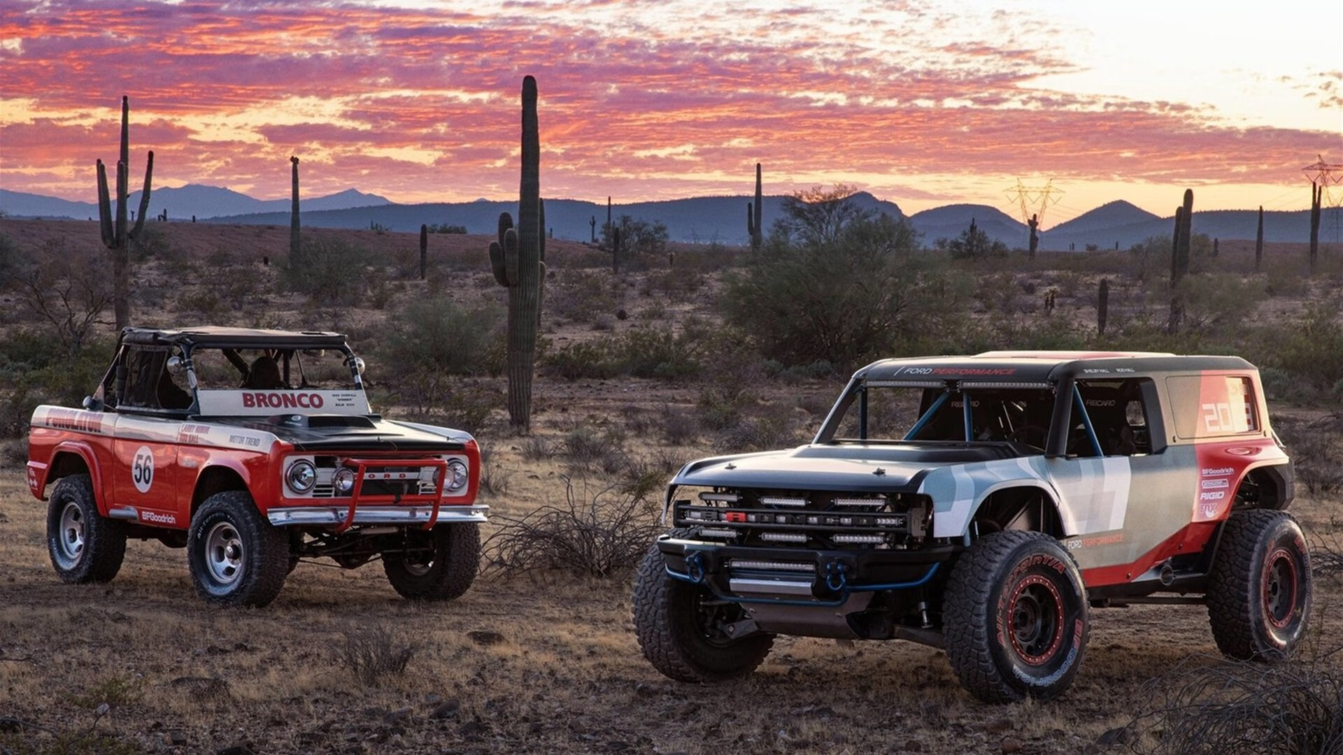 中国女篮强调团队协作与配合,中国女篮和谁一组