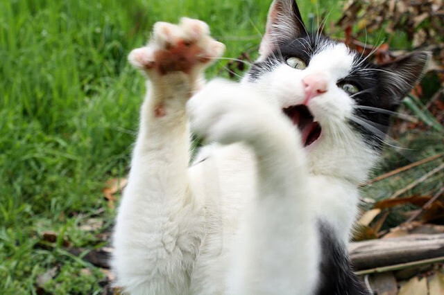 爱游戏体育app-俱乐部财务危机对联赛的长期影响，俱乐部公开财务