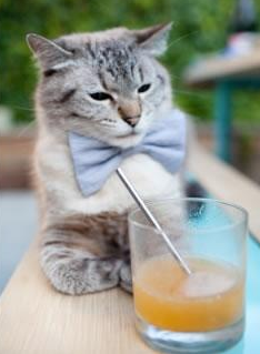 爱游戏电竞官网-外援长期占据关键位置压缩本土成长空间，外援管理