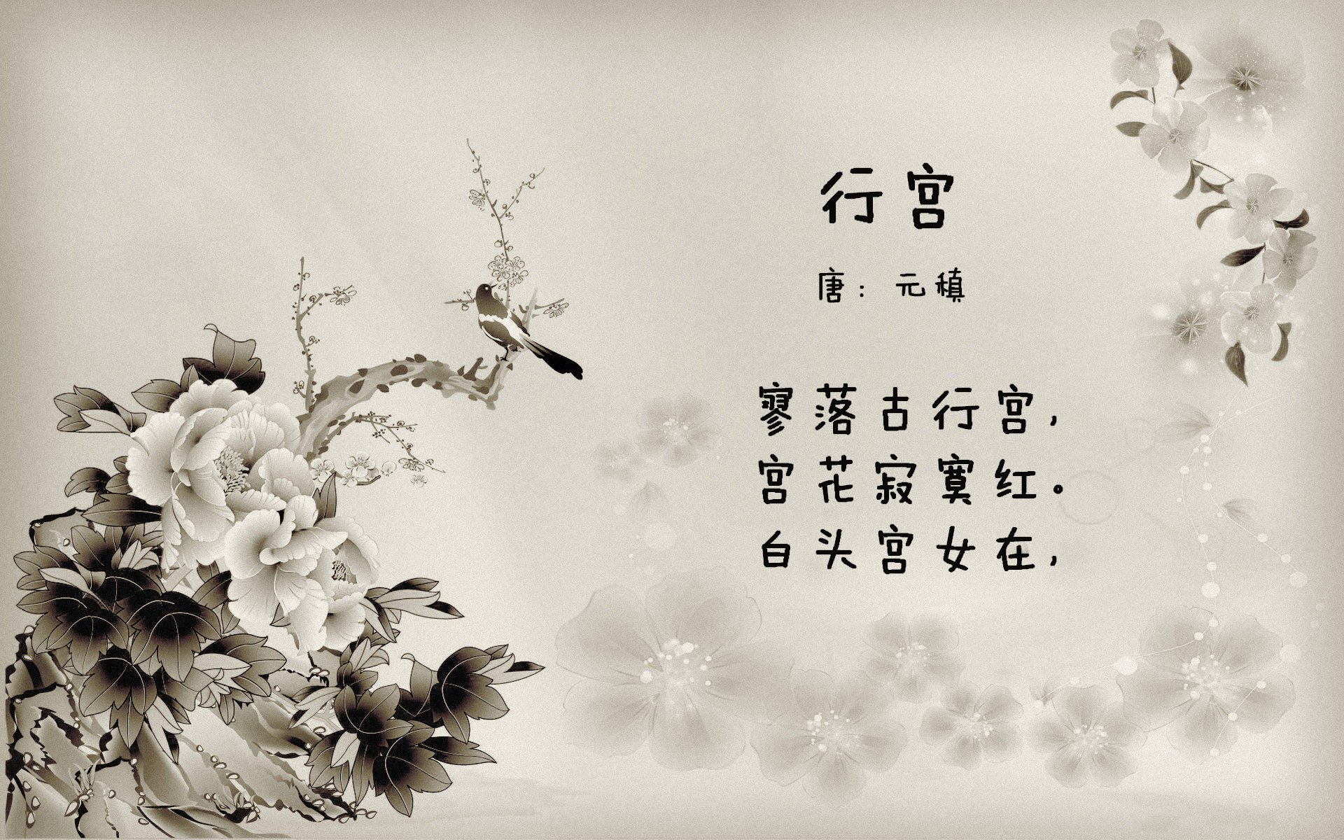 山西龙狮贯彻以快制快原则形成节奏压制