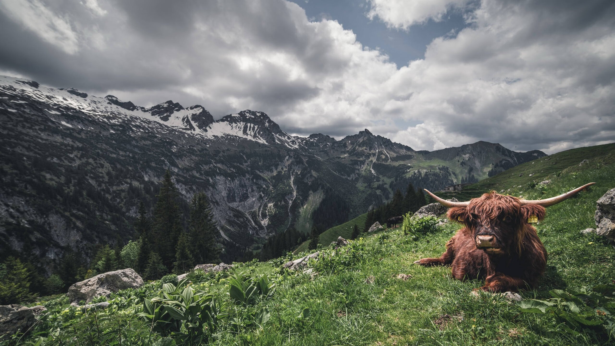 爱游戏app-快船主教练分析新赛季球权分配调整方向，快船球队球员