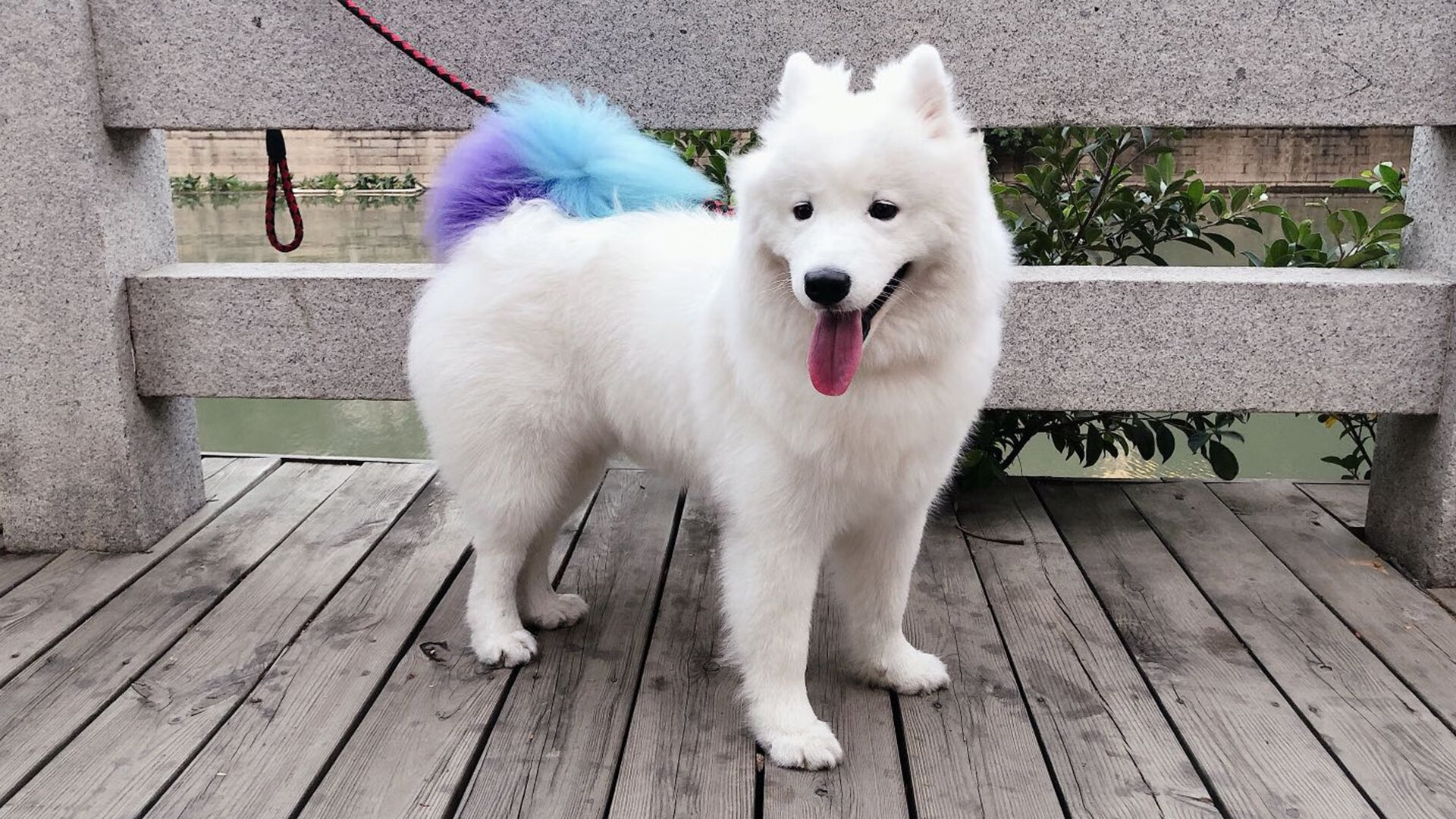 快船主教练分析新赛季球权分配调整方向,快船球队球员