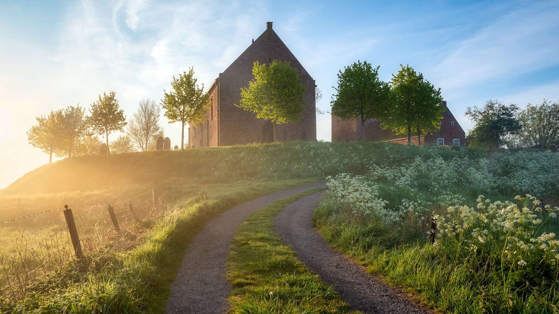 政策支持倾斜女子橄榄球发展,女子职业橄榄球