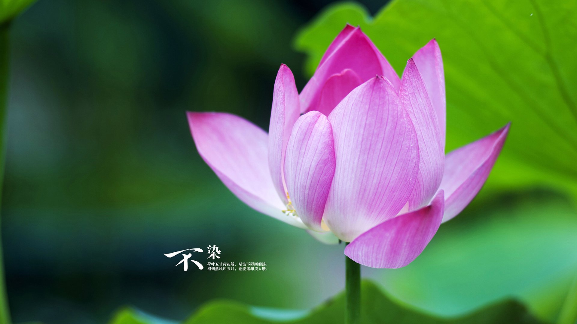 AYX GAMING-特殊战术布置成功限制对手核心成为本场胜负关键，特殊战术名词解释