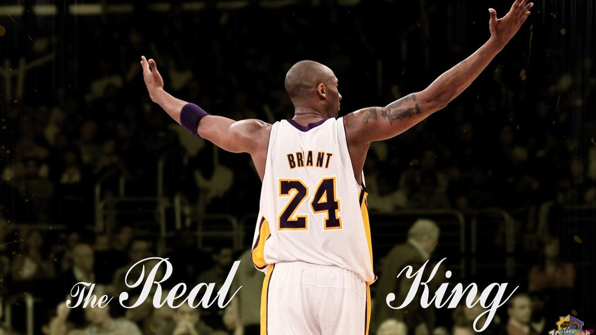 世界杯:移民问题、国家认同等议题通过足球被重新讨论